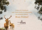 Desejamos-lhe Boas Festas e recordamos um ano memorável para o Centro PINUS