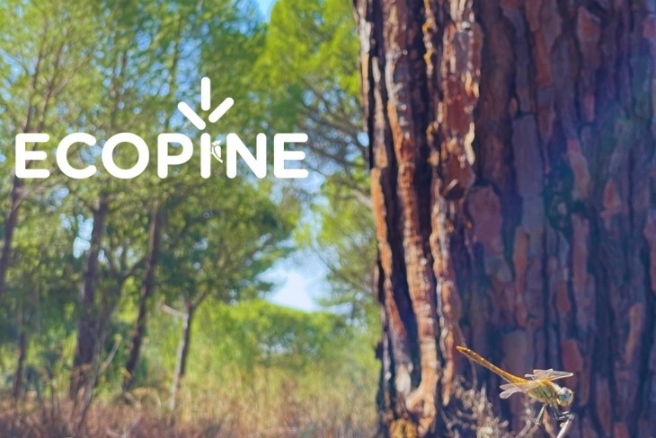 Novo relatório ECOPINE | BIO