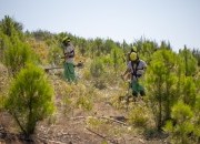 Floresta arrisca perder (novamente) verbas europeias por atrasos nos apoios do PEPAC