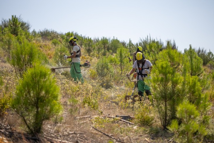 Floresta arrisca perder (novamente) verbas europeias por atrasos nos apoios do PEPAC