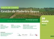CONVITE: VISITA DE CAMPO “GESTÃO DE PINHEIRO-BRAVO”