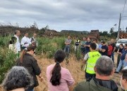 Da floresta &agrave; ind&uacute;stria: visita de campo mostra como recuperar e valorizar o pinhal ap&oacute;s a tempestade Kristin