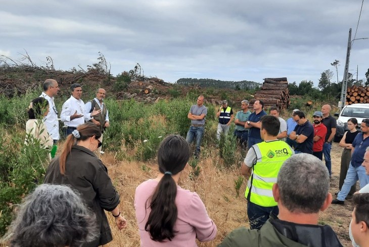 Da floresta &agrave; ind&uacute;stria: visita de campo mostra como recuperar e valorizar o pinhal ap&oacute;s a tempestade Kristin