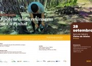 Convite: Visita de Campo “O potencial da resinagem para o Pinhal”