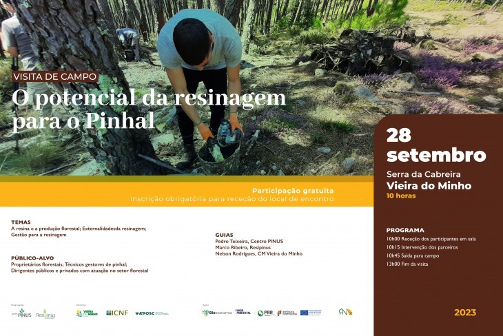Convite: Visita de Campo “O potencial da resinagem para o Pinhal”