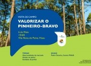 VISITA DE CAMPO "VALORIZAR O PINHEIRO-BRAVO"