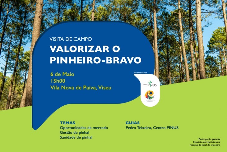 VISITA DE CAMPO "VALORIZAR O PINHEIRO-BRAVO"