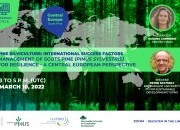 Ciclo de Webinares “Silvicultura de pinheiro: fatores internacionais de sucesso” arranca a 10 de Março com o Pinheiro-silvestre na Europa Central