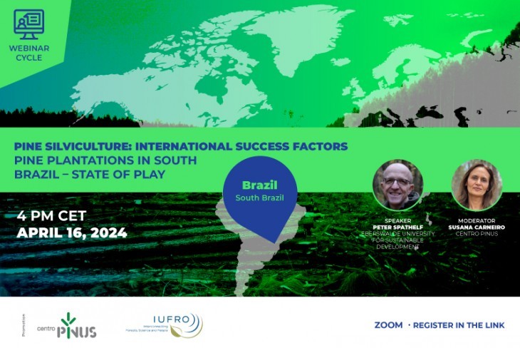 Webinar “Povoamentos de pinheiros no Sul do Brasil”
