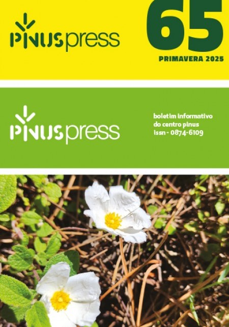 RN21 - UMA NOVA GERAÇÃO DE PINHEIROS-BRAVOS PRODUZIRÁ MAIS RESINA