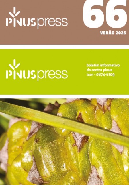 OS INDICADORES DA FILEIRA DO PINHO EM 2024